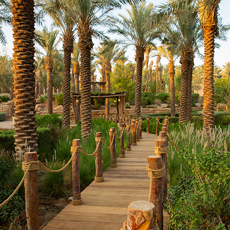 منتزه البجيري